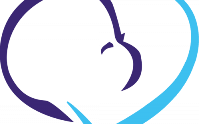 NSPP Skarb wystartował!